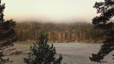 Sabahları dağ nehri, vadiler ve bulutlar arasında orman manzarası. Altai Cumhuriyeti 'ndeki Katun ve Rusya' daki Altai Krai. 