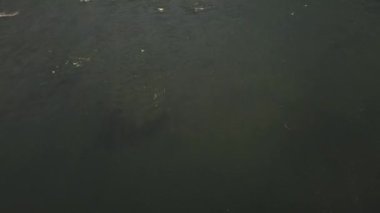 Sabahları dağ nehri, vadiler ve bulutlar arasında orman manzarası. Altai Cumhuriyeti 'ndeki Katun ve Rusya' daki Altai Krai. 