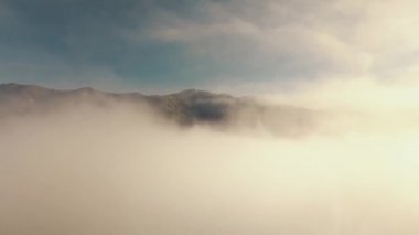 Altai dağ sırasının sabah hava manzarası alçak bulutlar arasında sonbahar ormanı. Altai Cumhuriyeti ve Rusya Altai Krai 'si