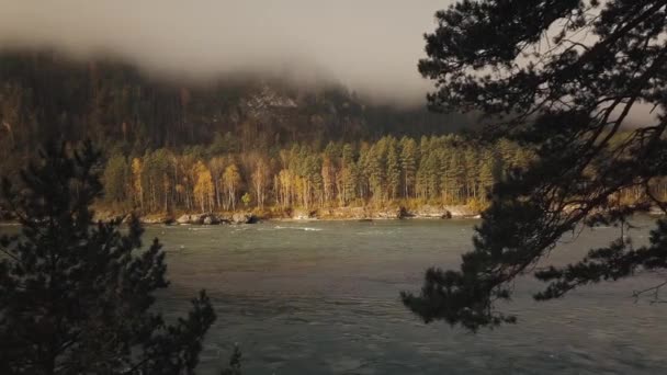 Luftaufnahme des Gebirgsflusses, der Täler und des Waldes durch Wolken am Morgen. Die Katun in der Republik Altai und der Region Altai in Russland — Stockvideo