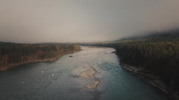 Vue aérienne de la rivière de montagne, des vallées et de la forêt à travers les nuages le matin. Le Katun dans la République de l'Altaï et le territoire de l'Altaï de Russie — Video