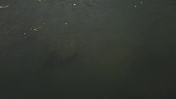 Vue aérienne de la rivière de montagne, des vallées et de la forêt à travers les nuages le matin. Le Katun dans la République de l'Altaï et le territoire de l'Altaï de Russie — Video