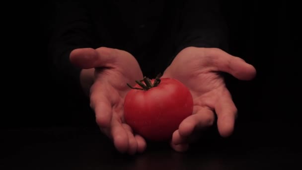 Dłonie męskie oferują trzymać świeże czerwone pomidory na ciemnym tle — Wideo stockowe