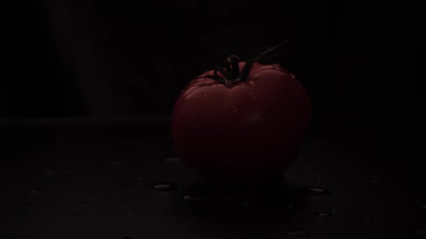 新鲜的有机红色西红柿，水滴在黑色的背景上。照明从低音改为高音.健康饮食 — 图库视频影像