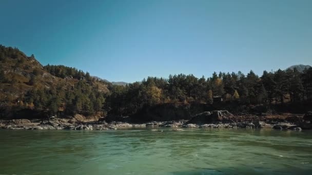 山の緑の川カトゥンの空中ビューの流れ。カメラは2つの島の間の橋の下を飛ぶ。ロシアのアルタイ共和国のケミカル村 — ストック動画