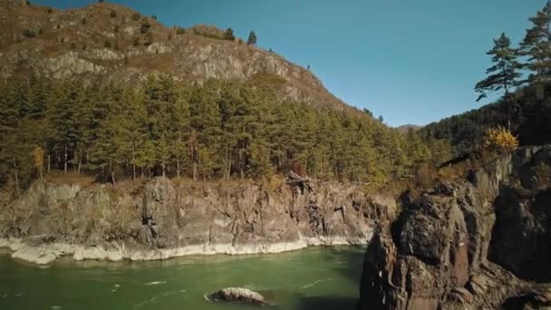 공중에서 보면 카툰 산의 푸른 강이 보인다. 숲이 있는 아름다운 가을 산골짜기. 화학 마을, 러시아 알타이 공화국 — 비디오