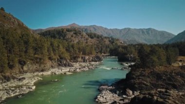Dağ manzaralı yeşil nehir Katun. Ormanlı güzel bir sonbahar dağı vadisi. Chemal Köyü, Altai Cumhuriyeti, Rusya
