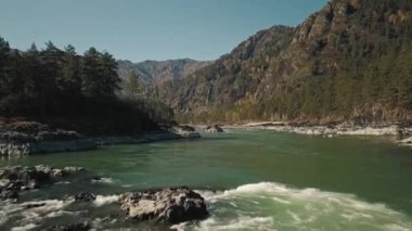 Dağ yeşil nehri Katun 'un güçlü akışının havadan görüntüsü. Ormanlı güzel bir dağ vadisi. Chemal Köyü, Altai Cumhuriyeti, Rusya