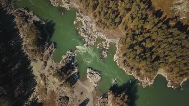 Aerial top view of the powerful flow of the mountain green river Katun. Chemal village, Altai Republic, Russia — Stock Video