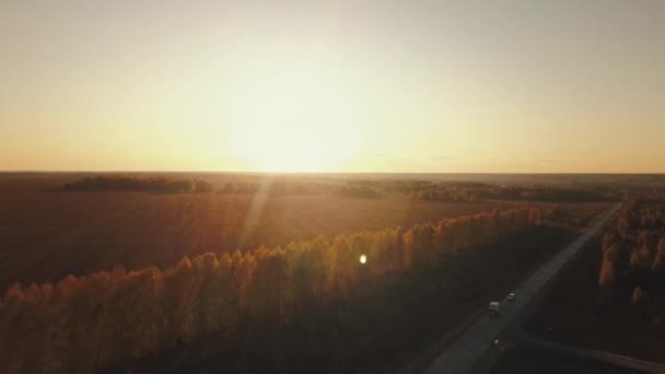 Letecké video z cesty v krásném podzimním lese Altai při západu slunce. Krásná krajina s venkovskou cestou, zlatý podzim v Altai: stromy s červenými, žlutými a oranžovými listy — Stock video