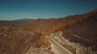 Yüksek irtifada Serpentine dağ yolunun havadan görüntüsü. Güzel sonbahar altın vahşi manzarası: dolambaçlı zorlu yol, orman, sarı ve kırmızı yapraklı ağaçlar, büyük dağlar, dik uçurumlar. A