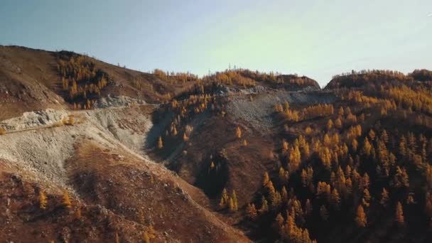 Luchtfoto van de serpentine bergweg op grote hoogte. Prachtige herfst gouden wilde landschap: kronkelende moeilijke weg, bos, bomen met gele en rode bladeren, grote bergen, steile kliffen. A — Stockvideo