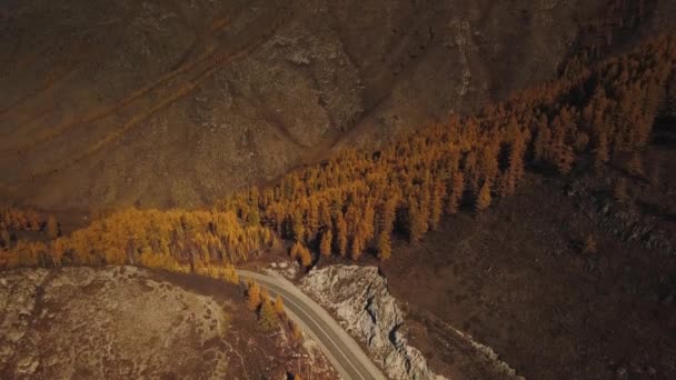 Aerial view of the empty, lonely serpentine mountain road at high altitude. Beautiful autumn golden wild landscape: winding difficult road, forest, trees with yellow and red leaves, large mountains — Stock Video
