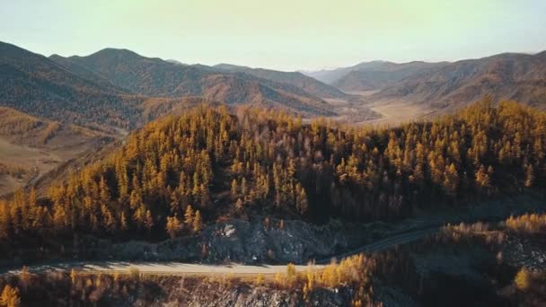 標高の高い空の孤独な蛇紋岩の山道の空中ビュー。美しい秋の黄金の野生の風景:困難な道路、森林、黄色と赤の葉を持つ木、大規模な山巻き — ストック動画