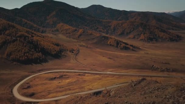 Vista aérea da serpentina estrada de montanha em alta altitude. Bela paisagem selvagem dourada de outono: estrada difícil sinuosa, floresta, árvores com folhas amarelas e vermelhas, grandes montanhas, penhascos íngremes — Vídeo de Stock