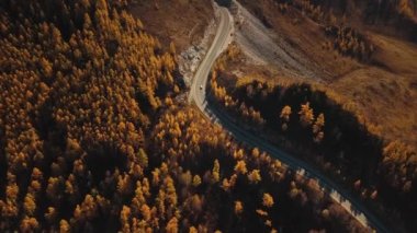 Yüksek irtifada Serpentine dağ yolunun havadan görüntüsü. Güzel sonbahar altın vahşi manzarası: dolambaçlı zorlu yol, orman, sarı ve kırmızı yapraklı ağaçlar, büyük dağlar, sarp kayalıklar