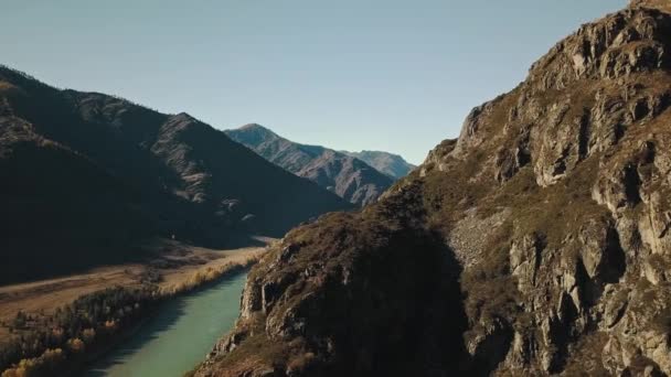 Luftaufnahme des ruhigen, grünen Katun-Flusses. Herbstlandschaft der wilden Natur des Altai-Gebietes: ein riesiger Berg mit Bäumen, ein goldener Wald, ein Feld, die Strahlen der Sonne. Altai — Stockvideo