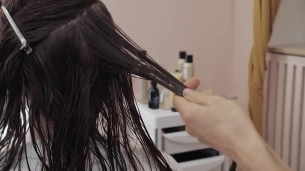 Primer plano del proceso de destacar y cortar un cabello castaño largo de las niñas para la salud del cabello. El peluquero prepara el cabello hermoso y fuerte de la chica para resaltar, cortar y peinar el — Vídeo de stock