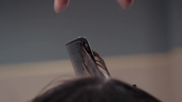 Close-up do processo de destacar e cortar um cabelo marrom longo meninas para a saúde do cabelo. O cabeleireiro prepara o cabelo bonito forte da menina para destacar, cortar e pentear o — Vídeo de Stock