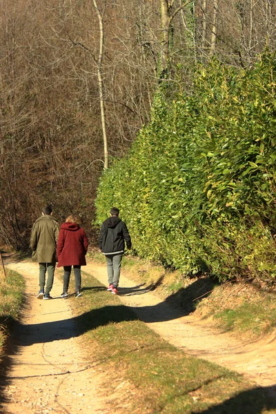 Bělošská matka chodí se svými dvěma dětmi do lesa — Stock fotografie