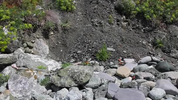 Aperçu vertical d'une falaise de granit — Video