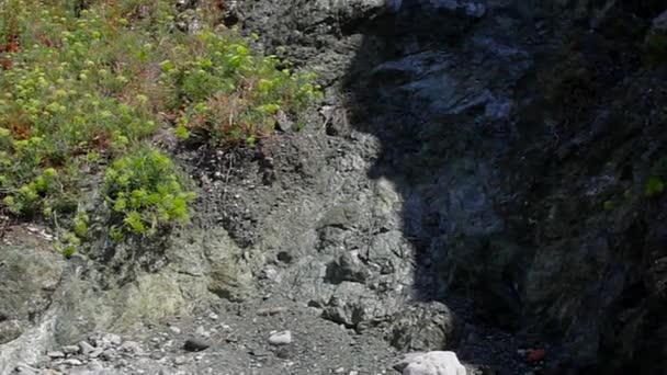 Vertical overview of a granite cliff — Stock Video