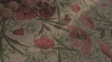 Yakından çekilen broll fındıklı ahşap bir havan topuna giriyor.