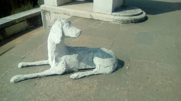Vittoriale degli Italiani, İtalya - Mart 2018: bir köpek heykeli