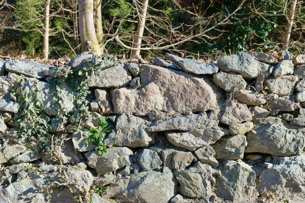 Piedra de granito pared seca con hiedra — Foto de Stock