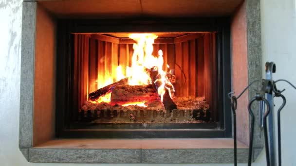Spalanie drewna w zapalonym kominku — Wideo stockowe