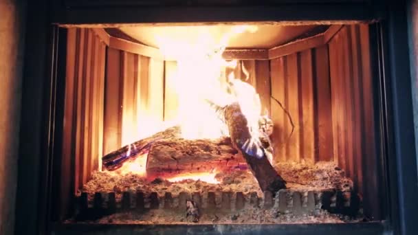 Spalanie drewna w zapalonym kominku — Wideo stockowe