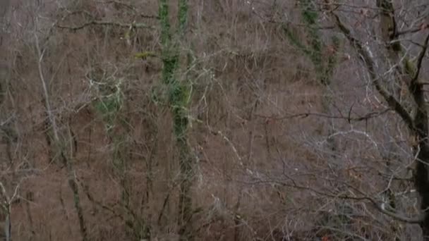 Poêle verticale sur un ruisseau de montagne à partir d'une pente de débris franches — Video