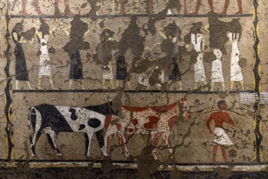 Mısır Torino Müzesi, İtalya - Şubat 2021: Nil Vadisi 'ndeki üreticileri resmeden fresk