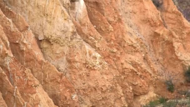 Rodeo en un profundo barranco en una pendiente de arcilla roja — Vídeos de Stock