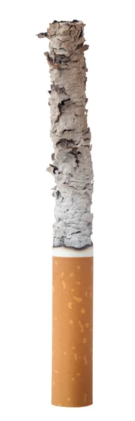 Burned cigarette — Stock Photo, Image