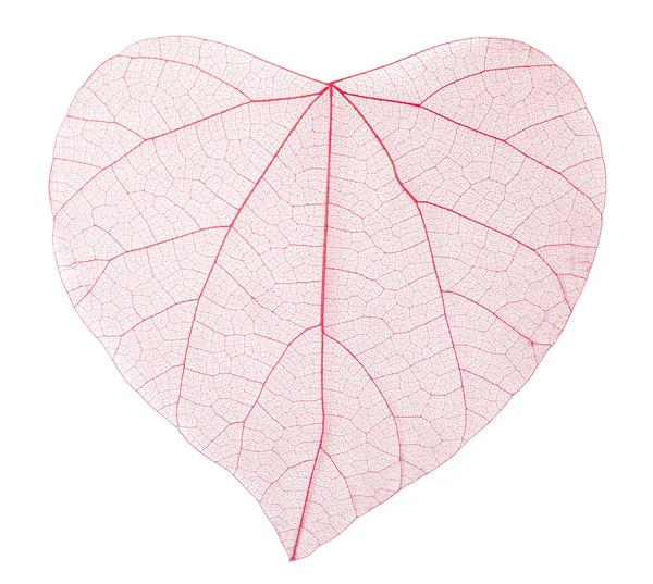 Folha transparente em forma de coração — Fotografia de Stock