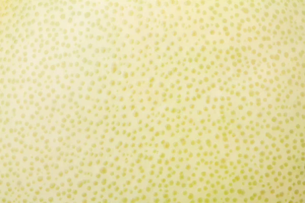 Texture de la peau Pomelo — Photo