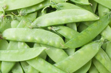 Kar bezelye arka plan