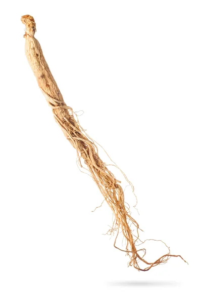 Dry ginseng roots — Stock Photo, Image