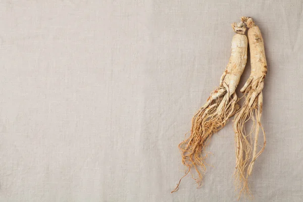 Racines de ginseng sèches — Photo