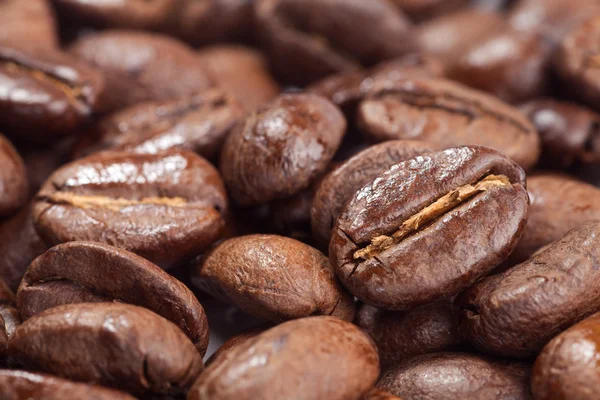 Close-up de grãos de café — Fotografia de Stock