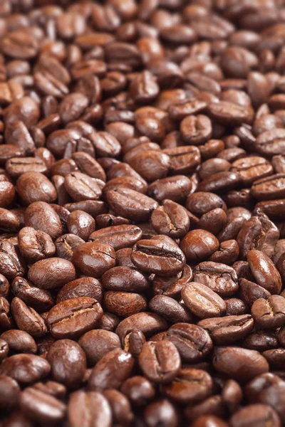 Close-up de grãos de café — Fotografia de Stock