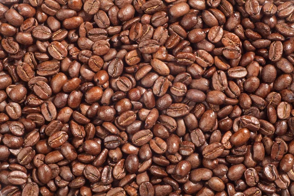 Grãos de café textura fundo — Fotografia de Stock