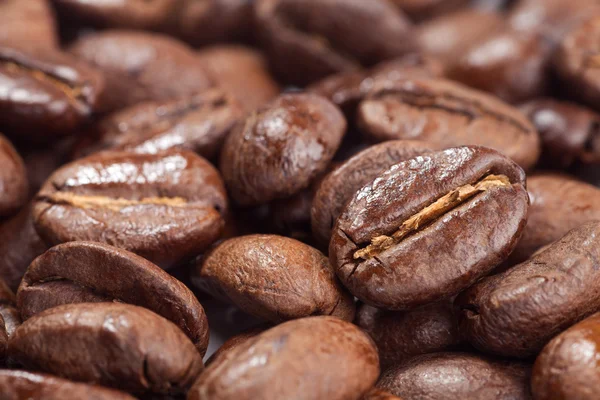 Close-up of coffee beans Royalty Free Stock Images