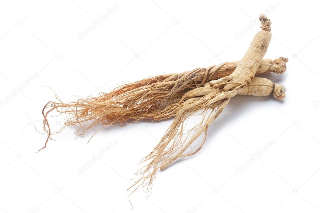 Dry ginseng roots