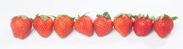 Frische Erdbeeren in Reihe — Stockfoto