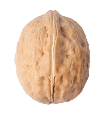 Tek ceviz yakın çekim