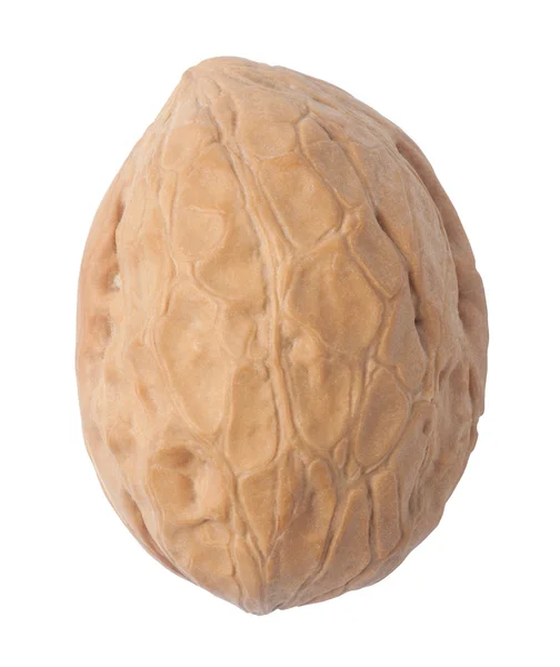 Single walnut close up — Stock Photo, Image