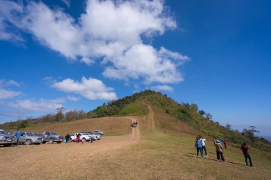 Loei, Tayland - 11 Aralık 2020: Phu Lom Lo dağlarının güzel manzarası Vahşi Himalaya, Kiraz çiçeği Sakura veya Prunus cerasoides 'in ünlü yeri ve varış noktasıdır.