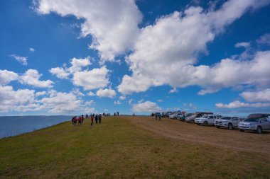Loei, Tayland - 11 Aralık 2020: Phu Lom Lo dağlarının güzel manzarası Vahşi Himalaya, Kiraz çiçeği, pembe Sakura çiçeği veya Prunus serasoides 'in seyahat noktası 